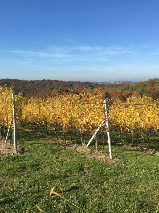 Riegler'S Buschenschank Fürstenfeld Esterno foto